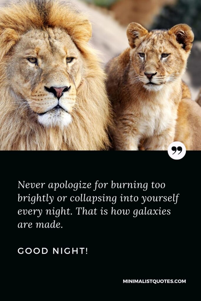 Good Night Quotes: Never apologize for burning too brightly or collapsing into yourself every night. That is how galaxies are made. Good Night!