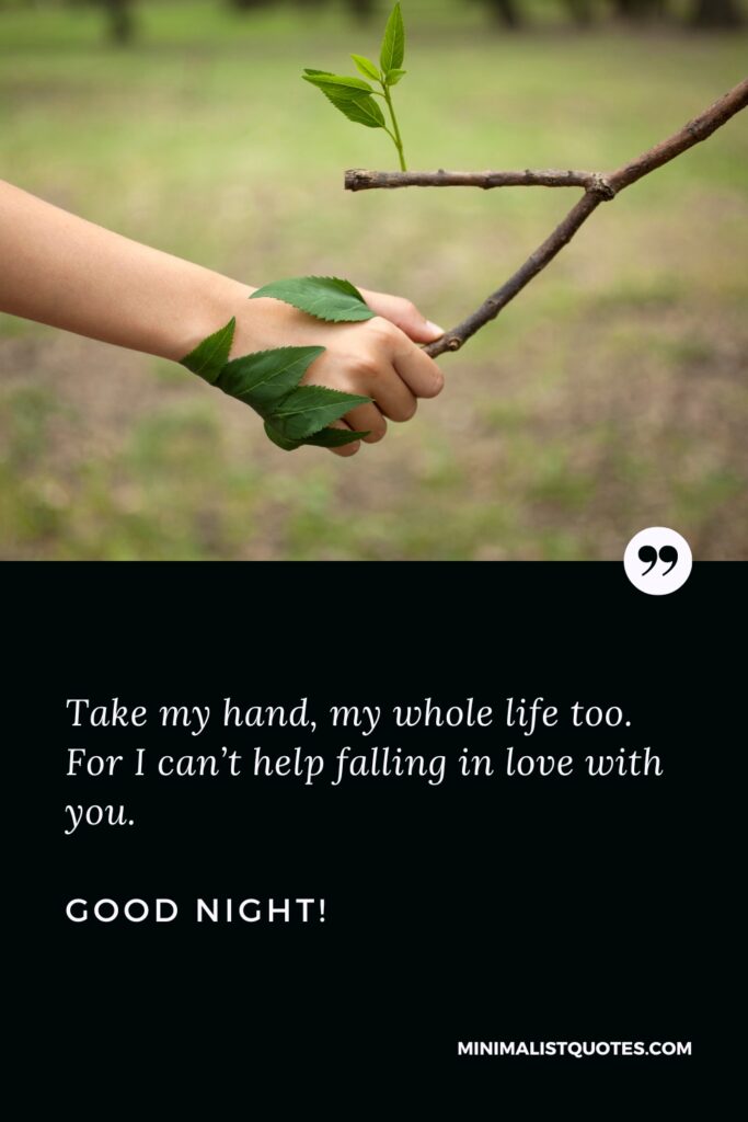 Good Night Thought Take my hand, my whole life too. For I can’t help falling in love with you. Good Night!