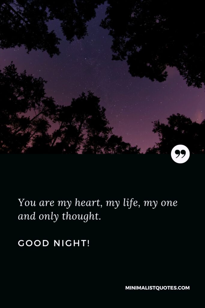Good Night Quotes You are my heart, my life, my one and only thought. Good Night!