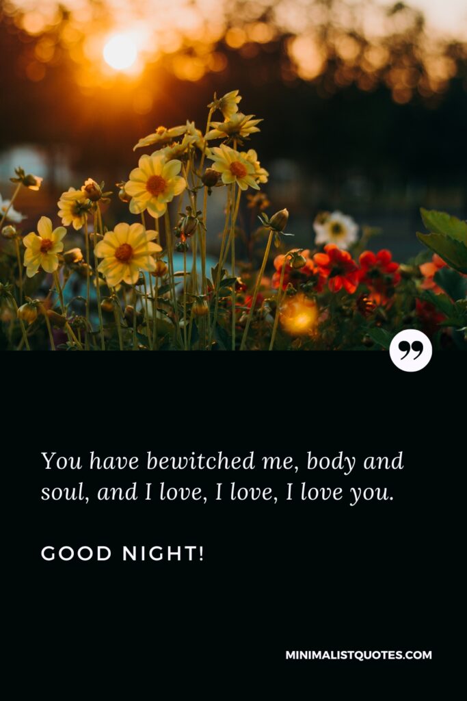 Good Night Image You have bewitched me, body and soul, and I love, I love, I love you. Good Night!