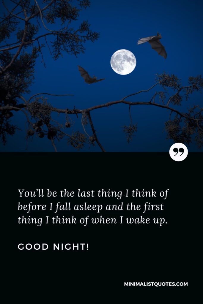 Good Night Quotes You’ll be the last thing I think of before I fall asleep and the first thing I think of when I wake up. Good Night!
