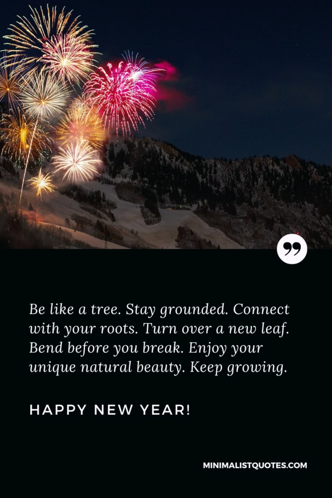 Happy New Year Quotes: Be like a tree. Stay grounded. Connect with your roots. Turn over a new leaf. Bend before you break. Enjoy your unique natural beauty. Keep growing. Happy New Year!