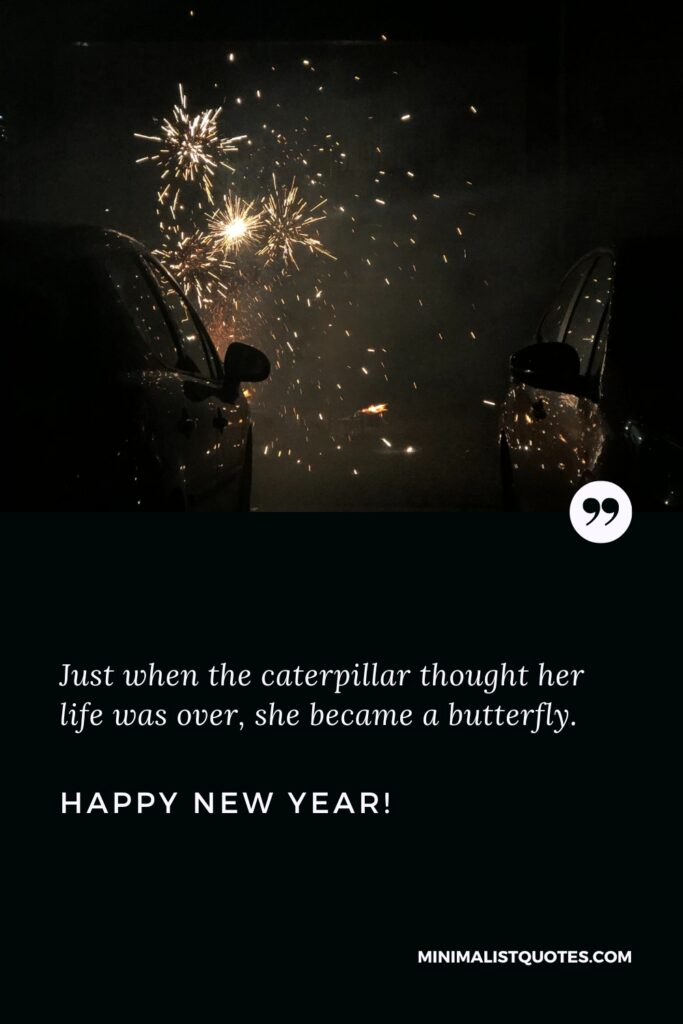 Happy New Year Quotes: Just when the caterpillar thought her life was over, she became a butterfly. Happy New Year!