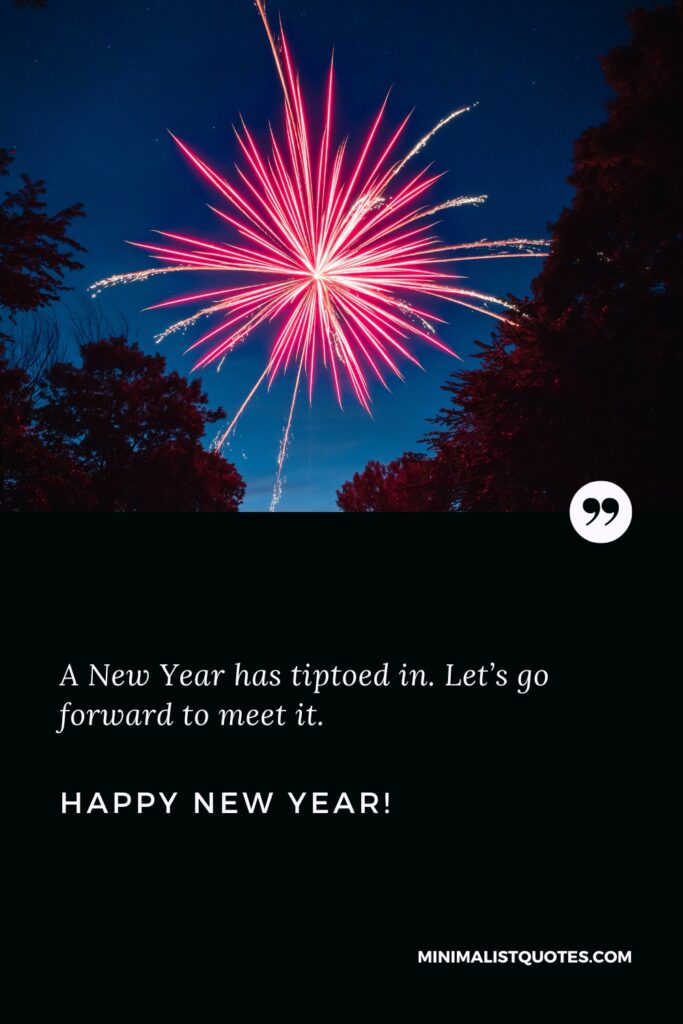 Happy New Year Wishes: A New Year has tiptoed in. Let’s go forward to meet it. Happy New Year!