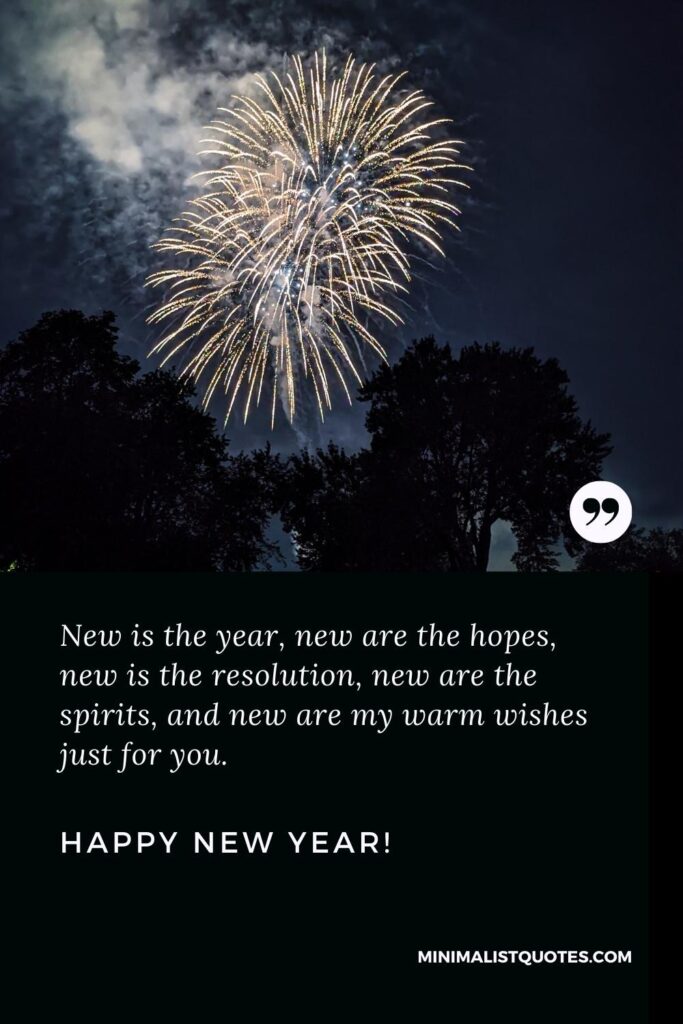 Happy New Year Wishes: New is the year, new are the hopes, new is the resolution, new are the spirits, and new are my warm wishes just for you. Happy New Year!