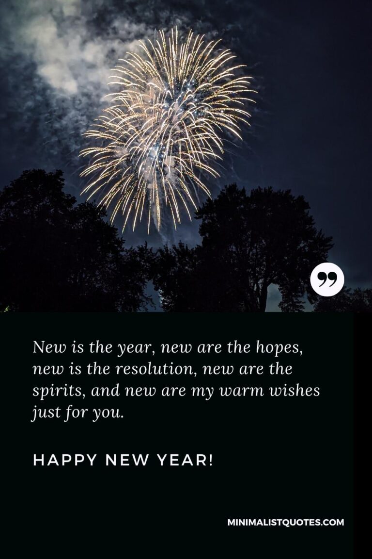 New is the year, new are the hopes, new is the resolution, new are the ...