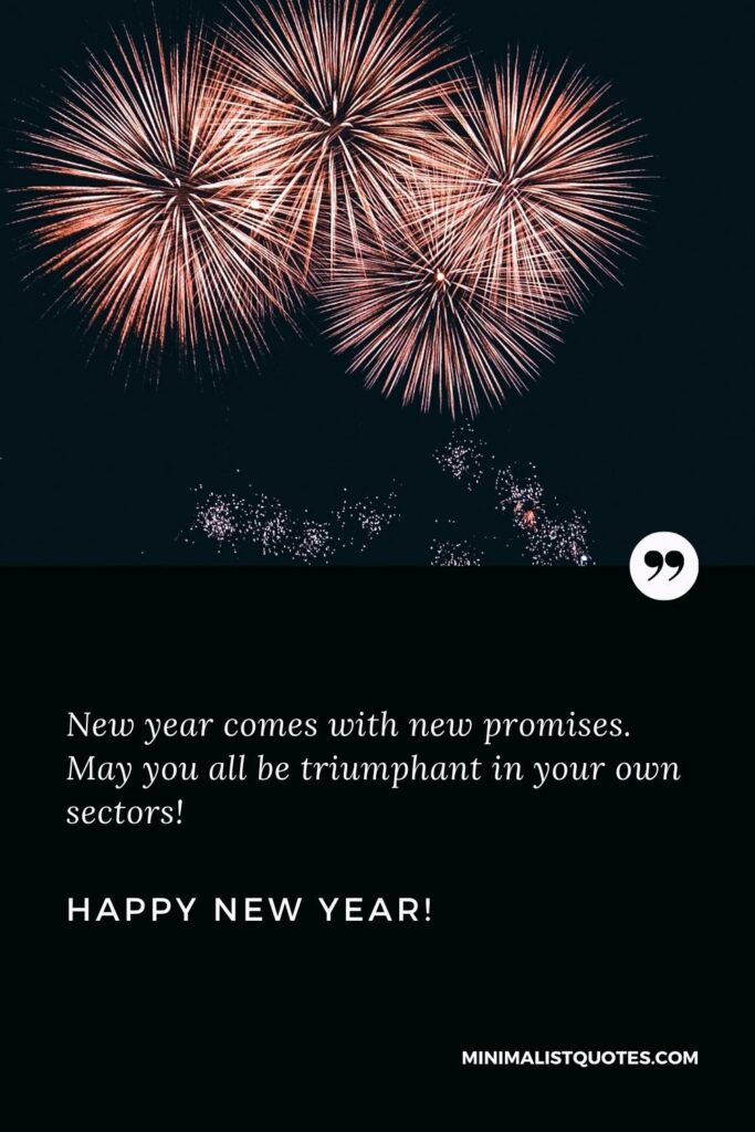 Happy New Year Wishes: New year comes with new promises. May you all be triumphant in your own sectors! Happy New Year!
