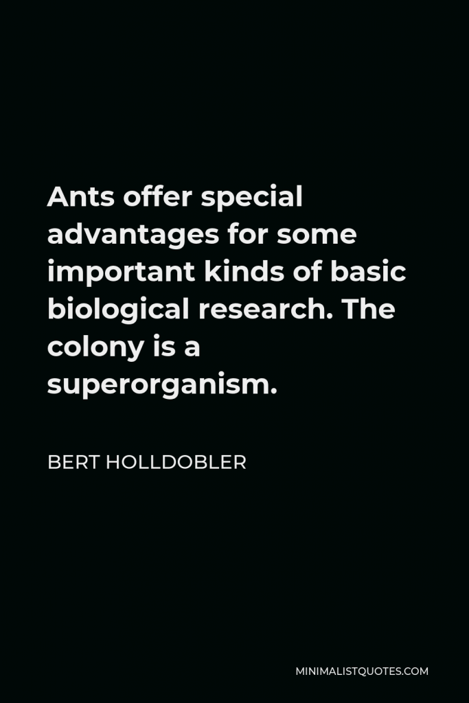 Bert Holldobler Quote - Ants offer special advantages for some important kinds of basic biological research. The colony is a superorganism.