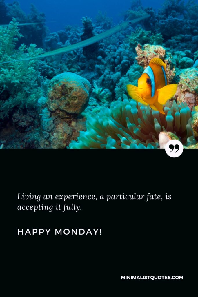 Happy Monday Greetings: Living an experience, a particular fate, is accepting it fully. Happy Monday!