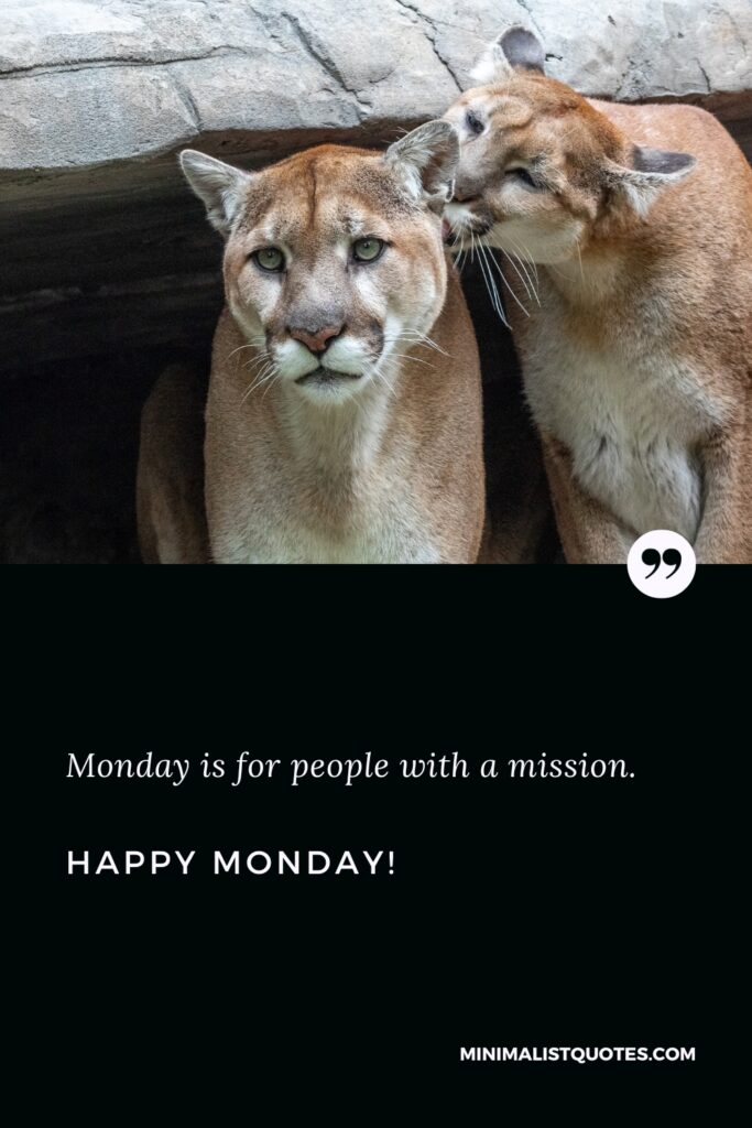 Happy Monday Greetings: Monday is for people with a mission. Happy Monday!