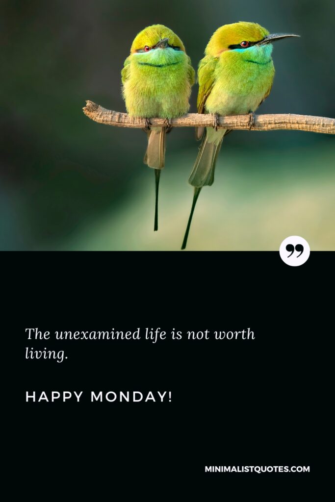Happy Monday Greetings: The unexamined life is not worth living. Happy Monday!