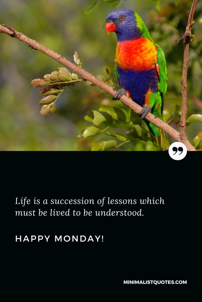 Happy Monday Images: Life is a succession of lessons which must be lived to be understood. Happy Monday!