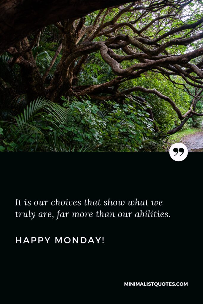 Happy Monday Positive Thoughts: It is our choices that show what we truly are, far more than our abilities. Happy Monday!