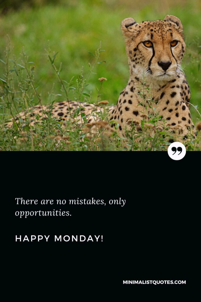 Happy Monday Positive Thoughts: There are no mistakes, only opportunities. Happy Monday!