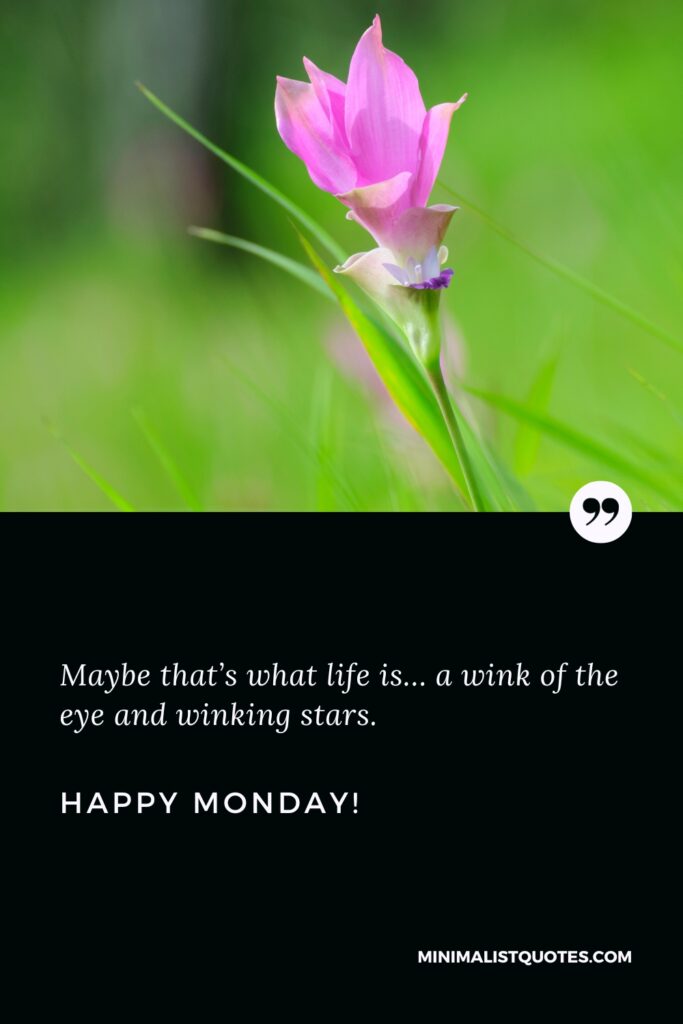 Happy Monday Thoughts: Maybe that’s what life is… a wink of the eye and winking stars. Happy Monday!