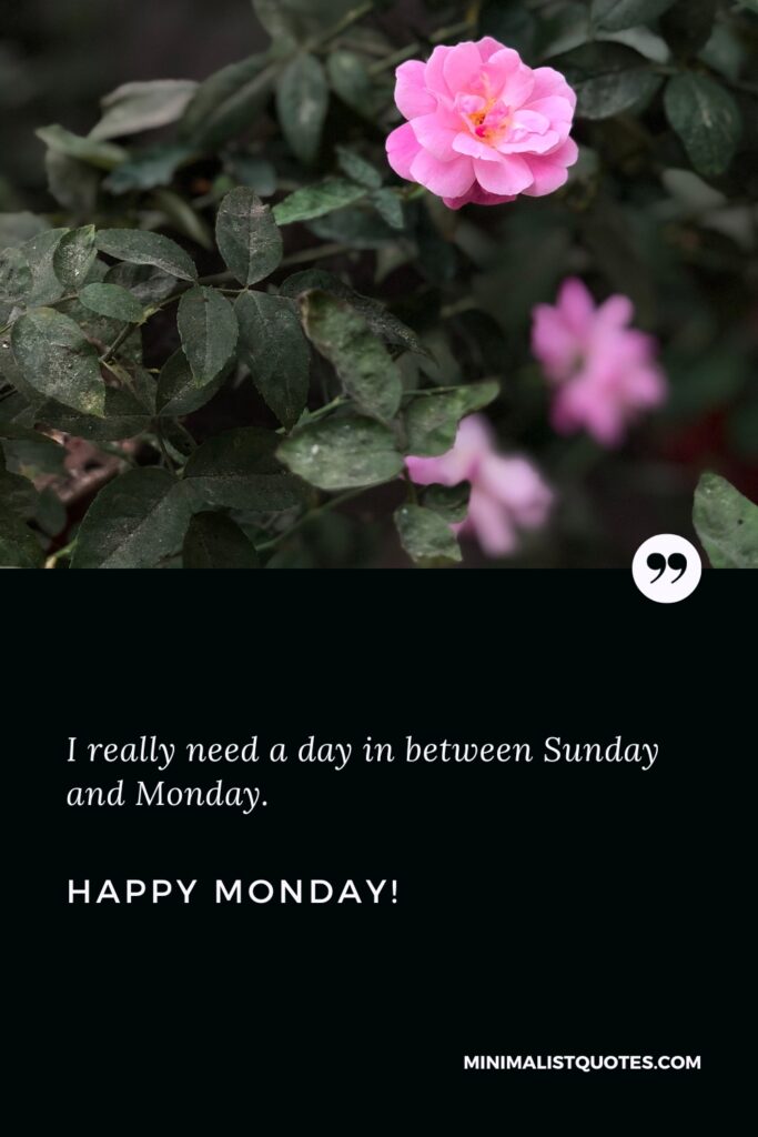 Happy Monday Thoughts: I really need a day in between Sunday and Monday. Happy Monday!