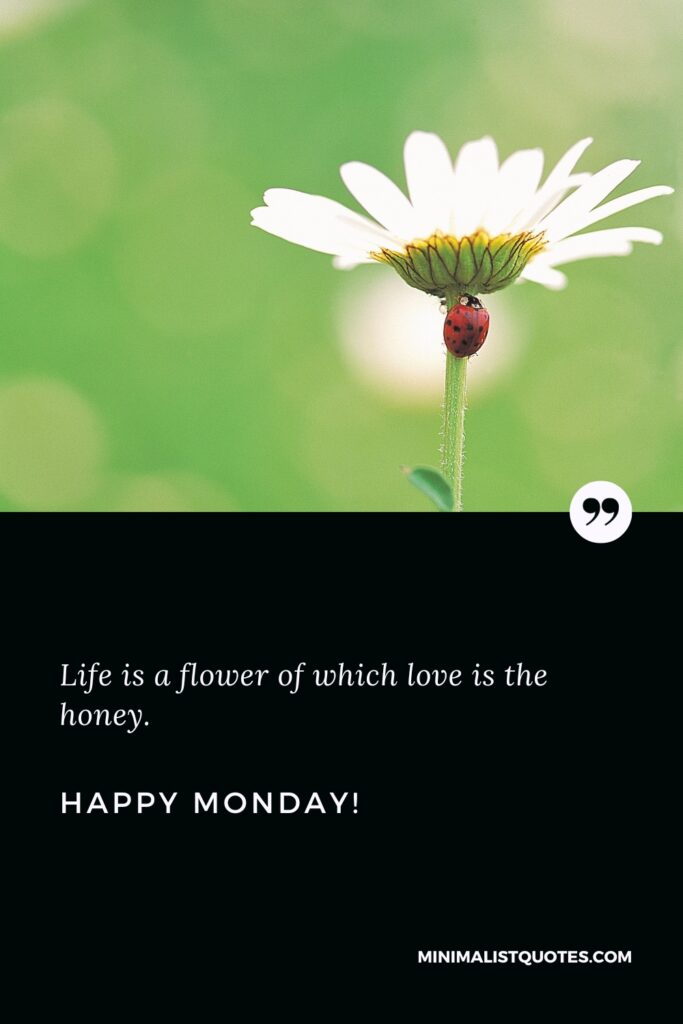 Happy Monday Thoughts: Life is a flower of which love is the honey. Happy Monday!