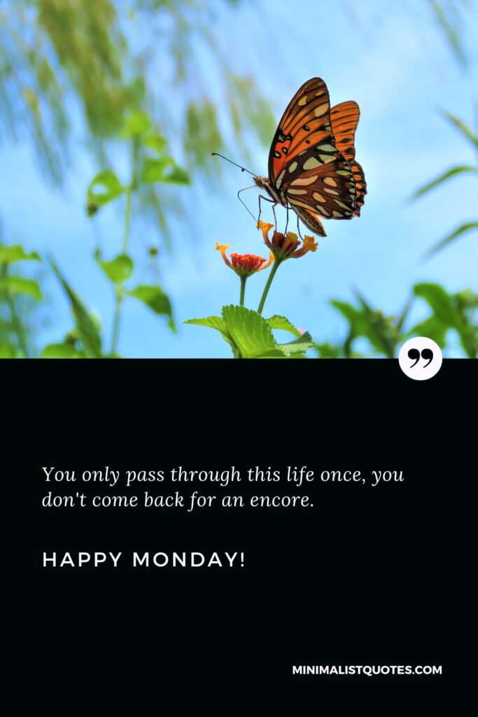 Happy Monday Thoughts: You only pass through this life once, you don't come back for an encore. Happy Monday!
