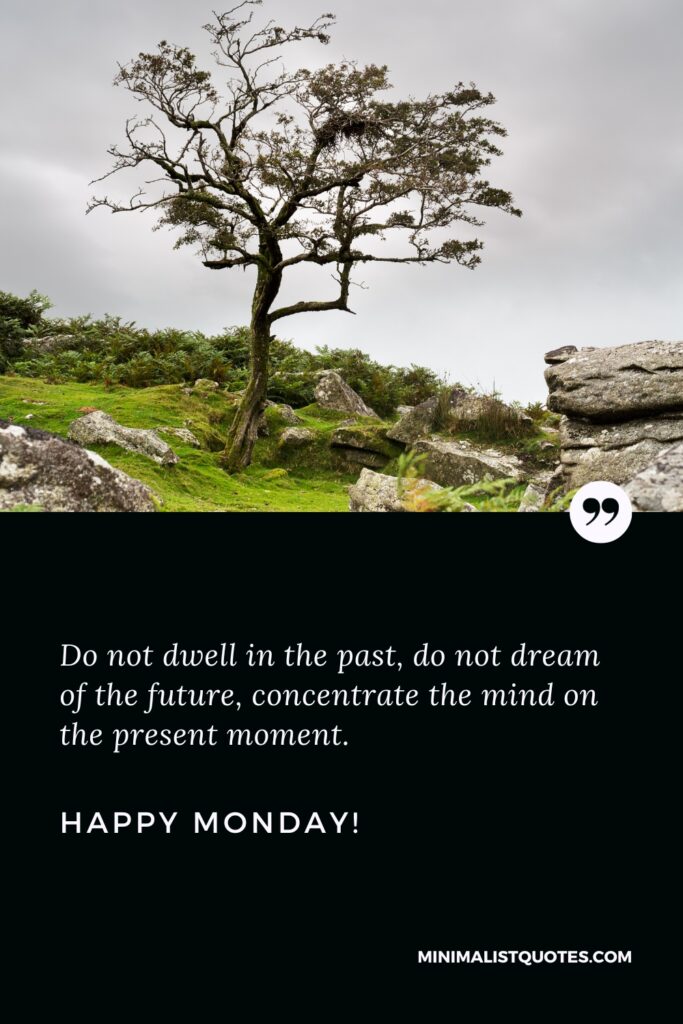 Happy Monday Wishes: Do not dwell in the past, do not dream of the future, concentrate the mind on the present moment. Happy Monday!