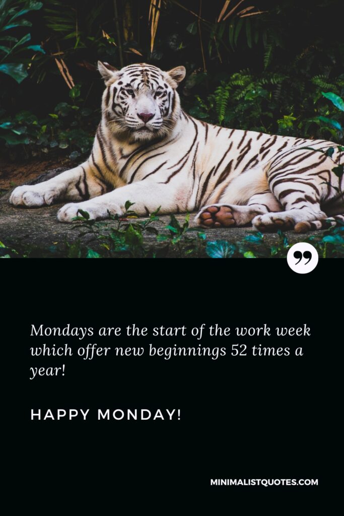 Happy Monday Wishes: Mondays are the start of the work week which offer new beginnings 52 times a year! Happy Monday!