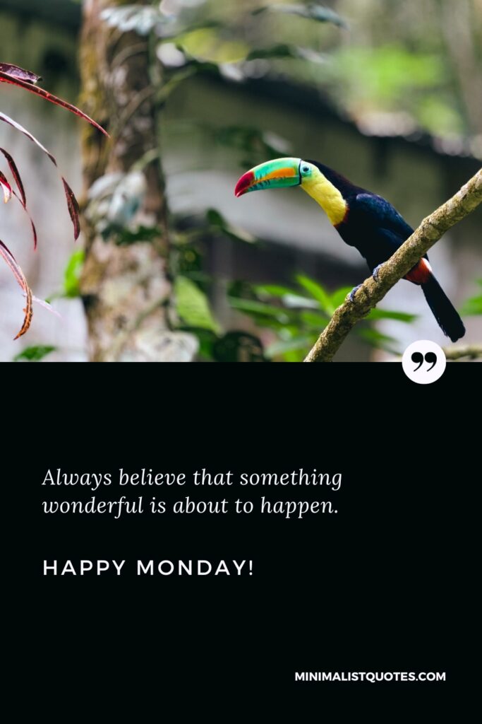 Happy Monday Wishes: Always believe that something wonderful is about to happen. Happy Monday!