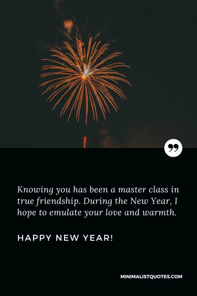Happy New Year Wishes: Knowing you has been a master class in true friendship. During the New Year, I hope to emulate your love and warmth. Happy New Year!
