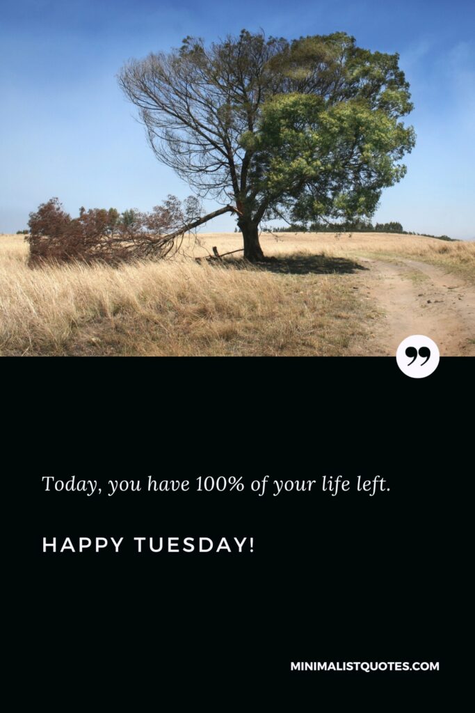 Happy Tuesday Wishes: Today, you have 100% of your life left. Happy Tuesday!