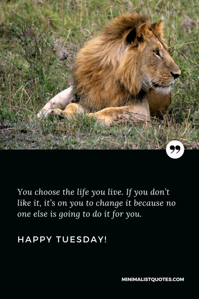 Happy Tuesday Wishes: You choose the life you live. If you don’t like it, it’s on you to change it because no one else is going to do it for you. Happy Tuesday!