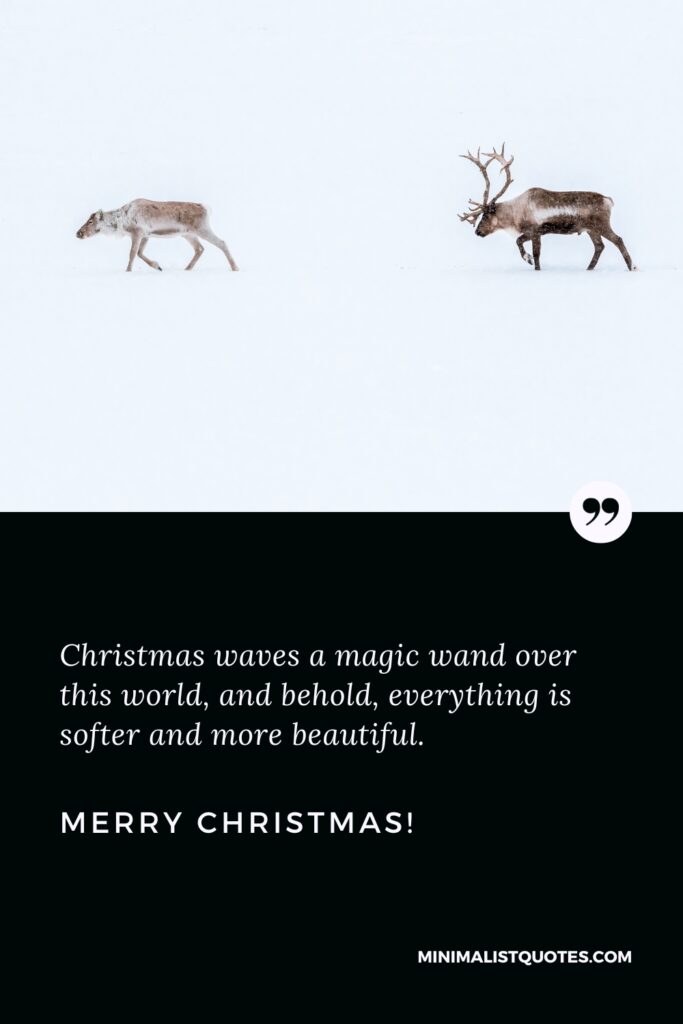 Merry Christmas Greetings: Christmas waves a magic wand over this world, and behold, everything is softer and more beautiful. Merry Christmas!
