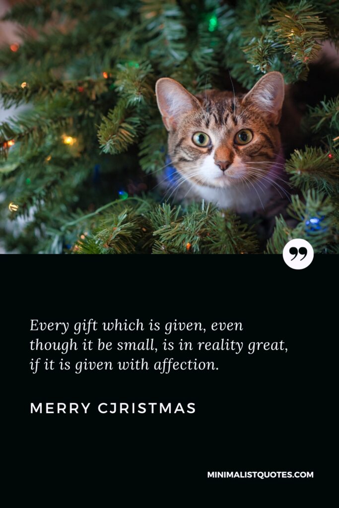 Merry Christmas Greetings: Every gift which is given, even though it be small, is in reality great, if it is given with affection. Merry Christmas!