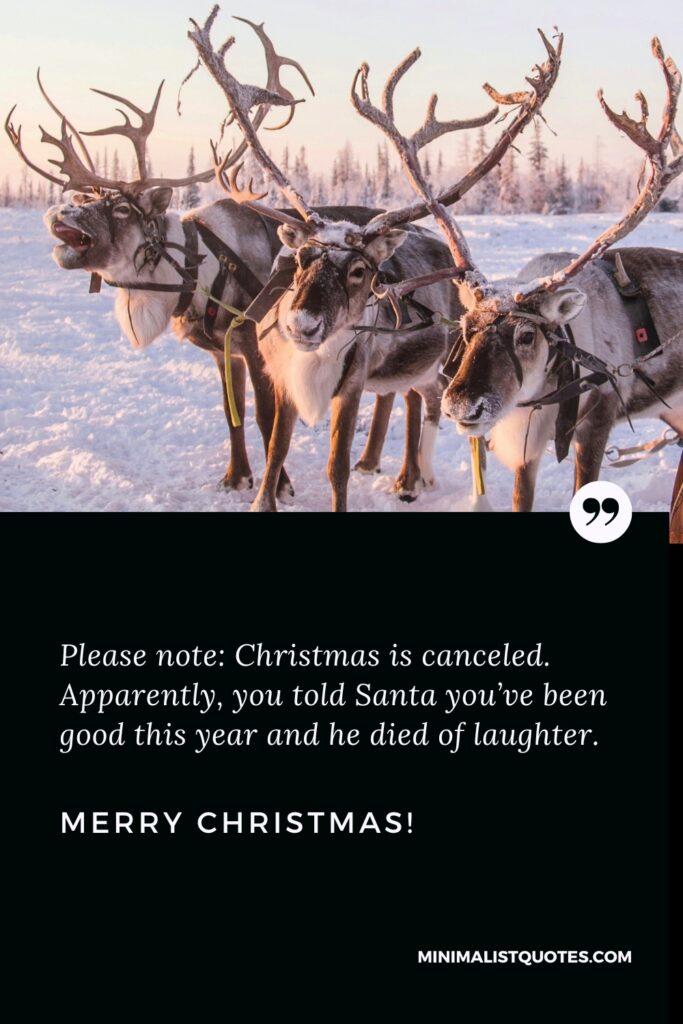 Merry Christmas Greetings: Please note: Christmas is canceled. Apparently, you told Santa you’ve been good this year and he died of laughter. Merry Christmas!