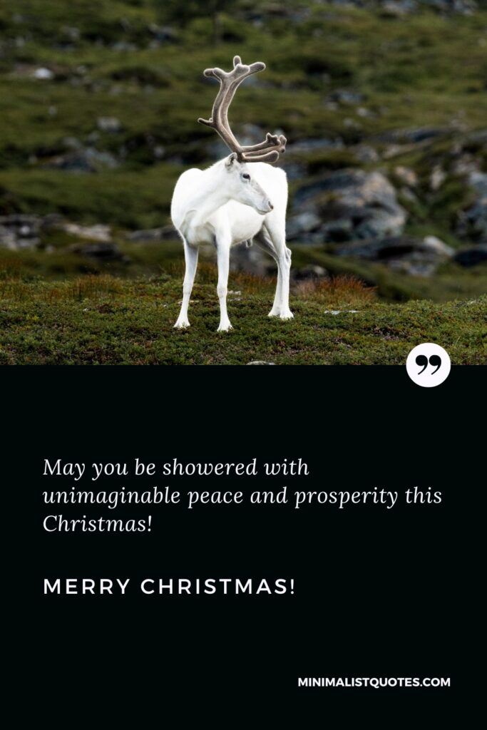 Merry Christmas Greetings: May you be showered with unimaginable peace and prosperity this Christmas! Merry Christmas!