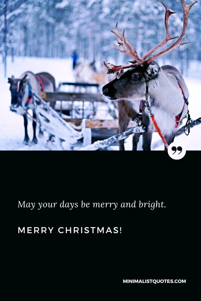 Merry Christmas Images: May your days be merry and bright. Merry Christmas!