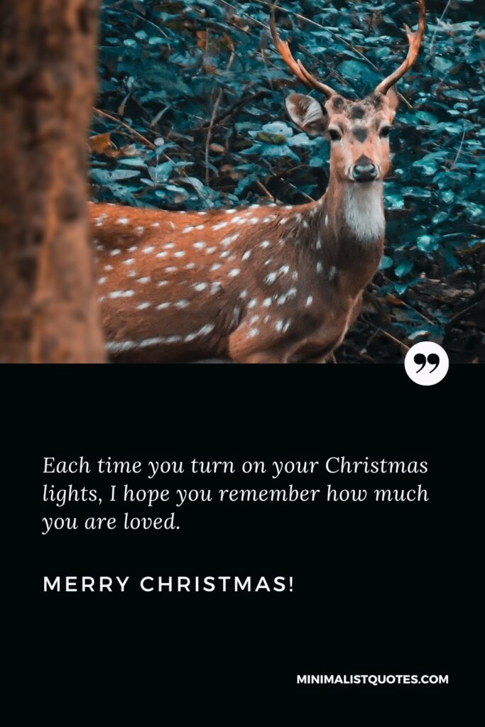 Merry Christmas Quotes: Each time you turn on your Christmas lights, I hope you remember how much you are loved. Merry Christmas!