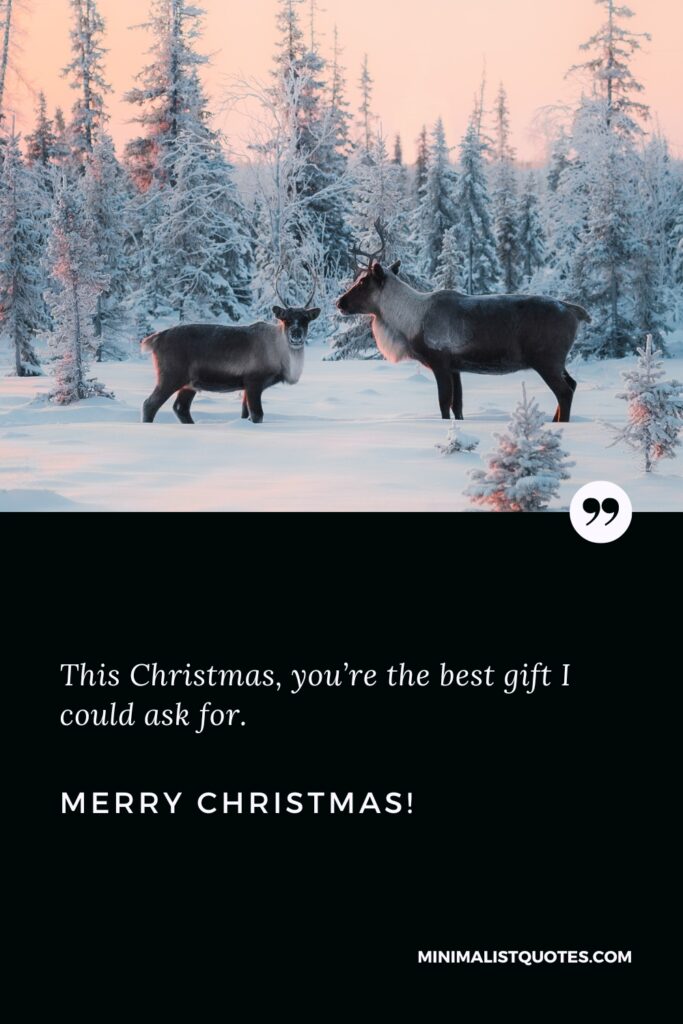 Merry Christmas Wishes: This Christmas, you’re the best gift I could ask for. Merry Christmas!