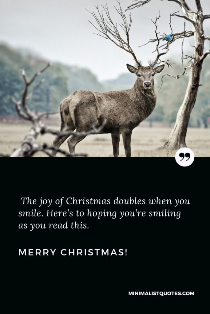 Merry Christmas Quotes: The joy of Christmas doubles when you smile. Here’s to hoping you’re smiling as you read this. Merry Christmas!