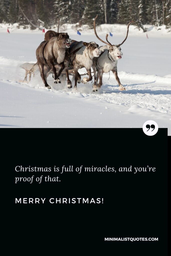 Merry Christmas Thoughts Christmas is full of miracles, and you’re proof of that. Merry Christmas!