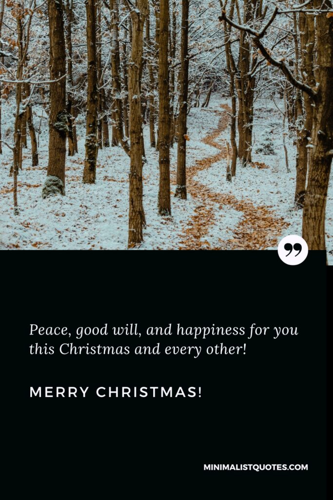 Merry Christmas Thought: Peace, good will, and happiness for you this Christmas and every other! Merry Christmas!