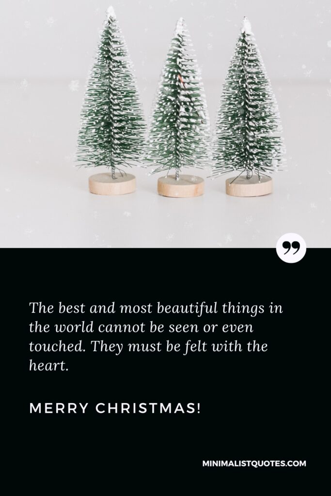 Merry Christmas Thoughts: The best and most beautiful things in the world cannot be seen or even touched. They must be felt with the heart. Merry Christmas!