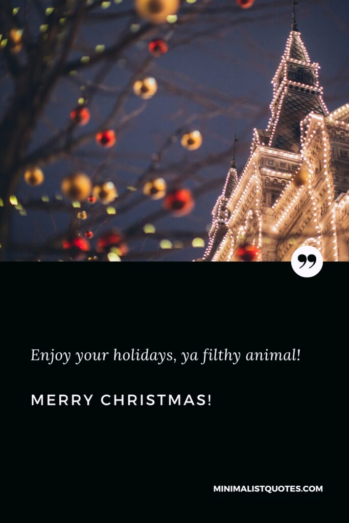 Merry Christmas Wishes: Enjoy your holidays, ya filthy animal! Merry Christmas!