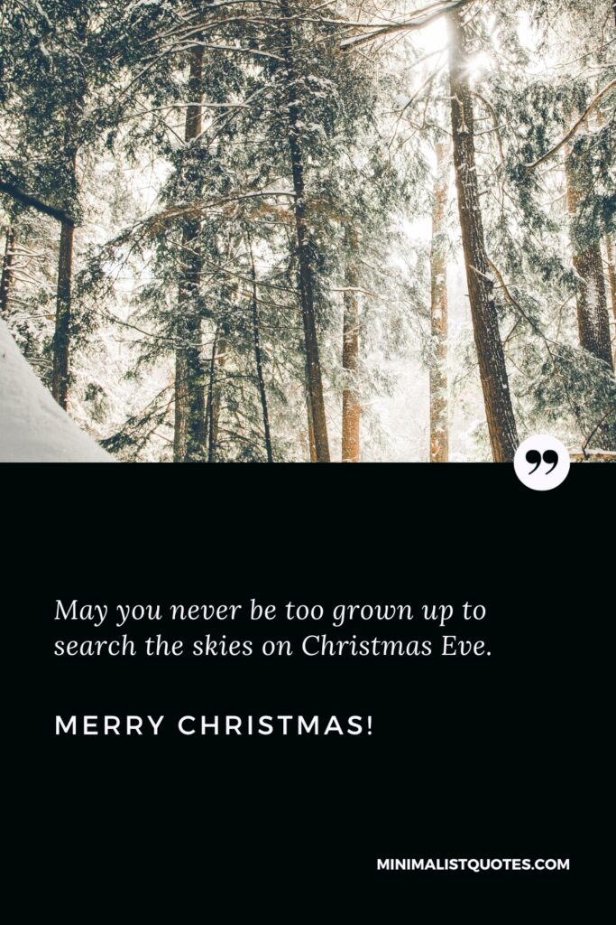 Merry Christmas Wishes: May you never be too grown up to search the skies on Christmas Eve. Merry Christmas!