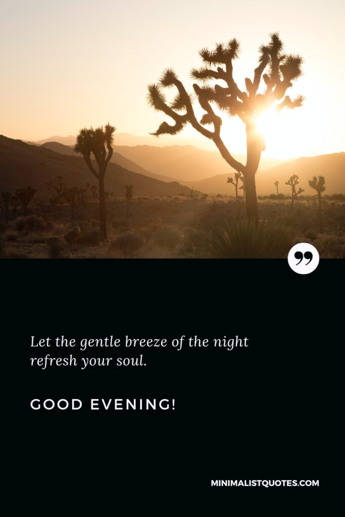 Good Evening Quotes: Let the gentle breeze of the night refresh your soul. Good Evening!