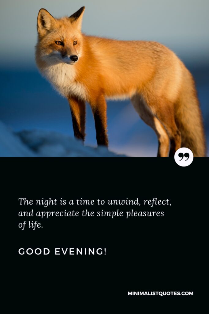 Good Evening Quotes: The night is a time to unwind, reflect, and appreciate the simple pleasures of life. Good Evening!