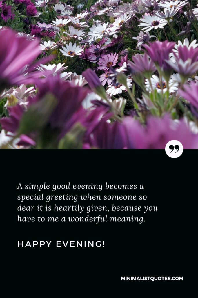 Good Evening Thoughts: A simple good evening becomes a special greeting when someone so dear it is heartily given, because you have to me a wonderful meaning. Good Evening!