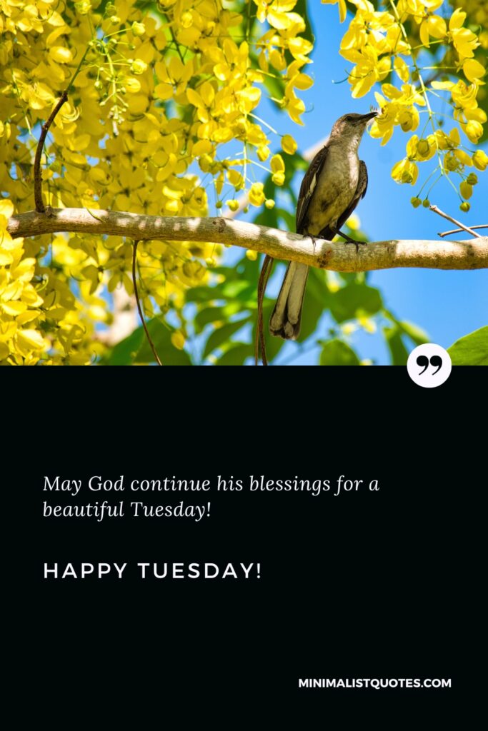 Happy Tuesday Best Quotes: May God continue his blessings for a beautiful Tuesday! Happy Tuesday!