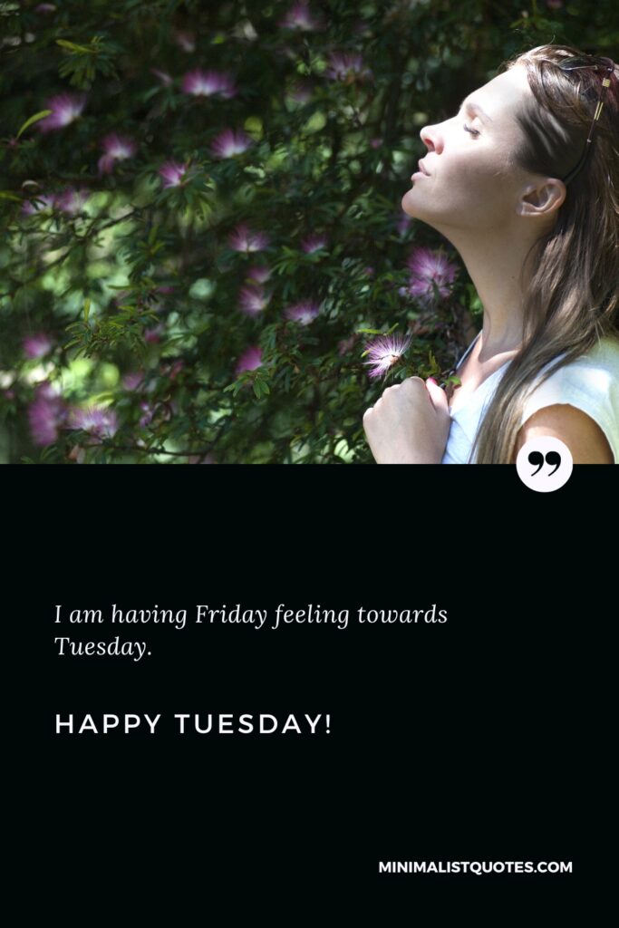 Happy Tuesday Best Quotes: I am having Friday feeling towards Tuesday. Happy Tuesday!
