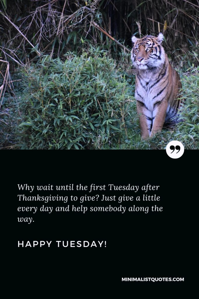 Happy Tuesday Best Quotes: Why wait until the first Tuesday after Thanksgiving to give? Just give a little every day and help somebody along the way. Happy Tuesday!
