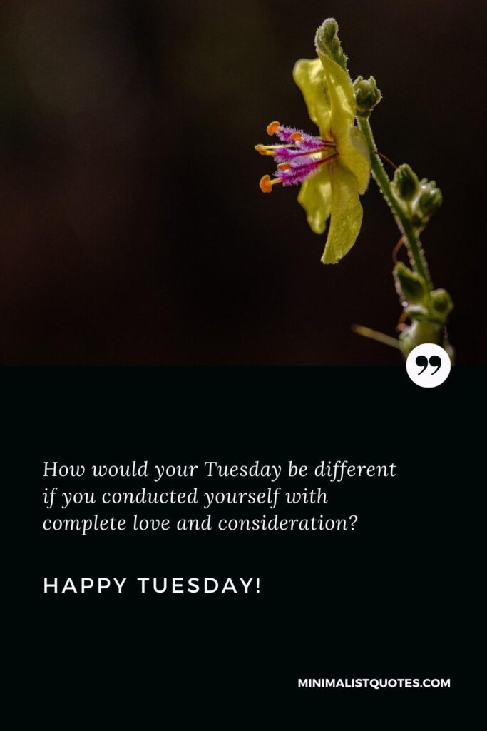 Happy Tuesday Greetings: How would your Tuesday be different if you conducted yourself with complete love and consideration? Happy Tuesday!
