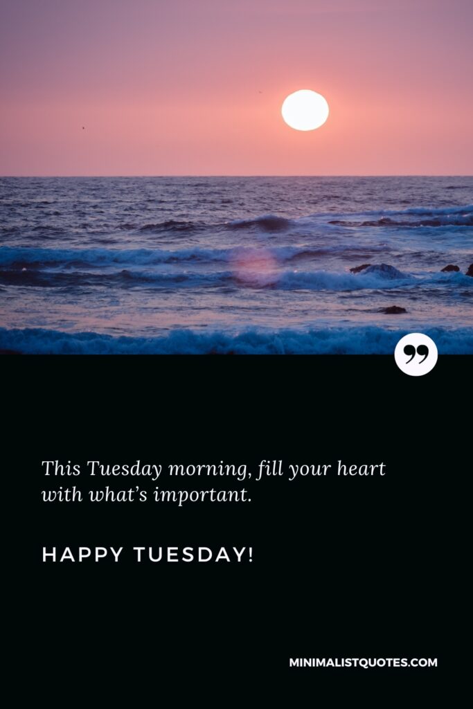 Happy Tuesday Greetings: This Tuesday morning, fill your heart with what’s important. Happy Tuesday!