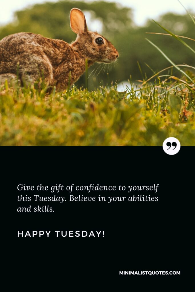 Happy Tuesday Greetings: Give the gift of confidence to yourself this Tuesday. Believe in your abilities and skills. Happy Tuesday!